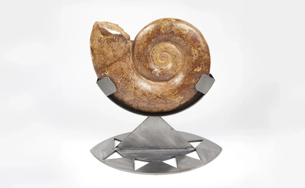 Touchstone Gallery Fossil on Stand